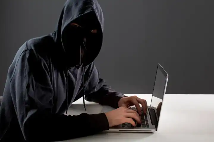 Understanding Cyber Crime in Digital Age