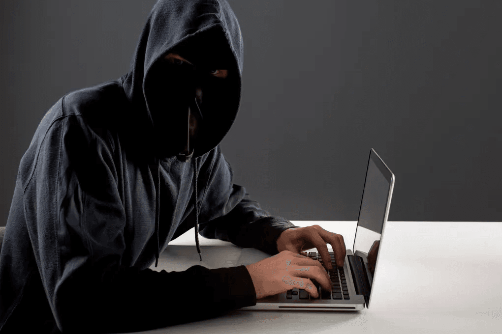 Understanding Cyber Crime in Digital Age